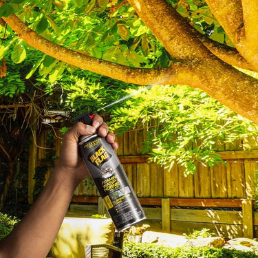 Black Flag Wasp and Hornet Killer Foam 14 oz