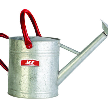 Ace Gray 2 gal Steel Watering Can
