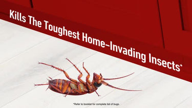 Ortho Home Defense Insect Killer Liquid 1 gal