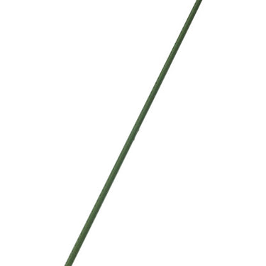 Gardener's Blue Ribbon 72 in. H X 7/16 in. W Green Steel Plant Stake