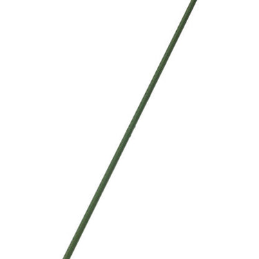 Gardener's Blue Ribbon 48 in. H X 5/16 in. W Green Steel Plant Stake
