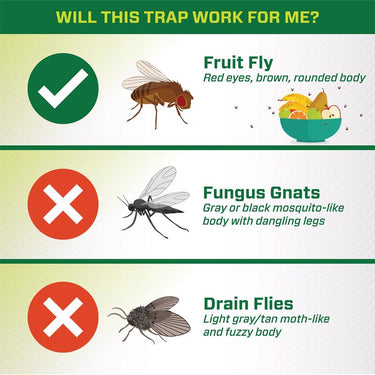 RESCUE Fruit Fly Trap 0.68 oz