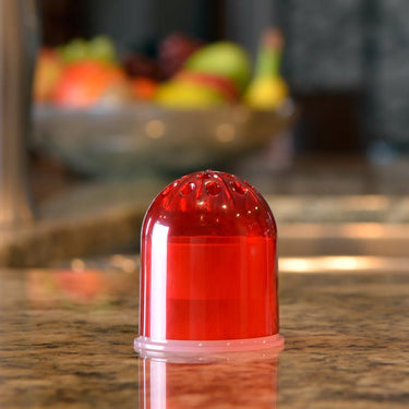 RESCUE Fruit Fly Trap 0.68 oz