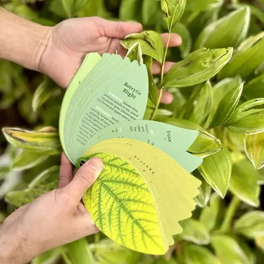 Kikkerland Plant Health Handbook