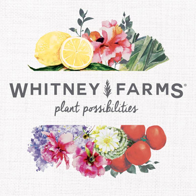 Load image into Gallery viewer, Whitney Farms Organic All Purpose Seed Starting Mix 8 qt
