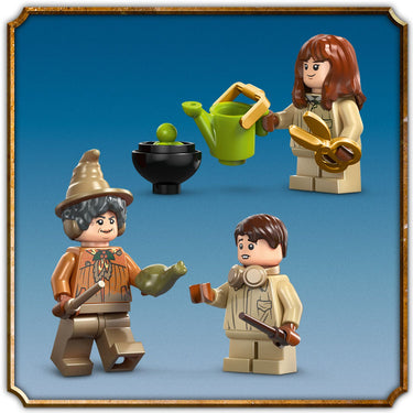 LEGO® Harry Potter Hogwarts™ Castle: Herbology Class