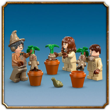 LEGO® Harry Potter Hogwarts™ Castle: Herbology Class