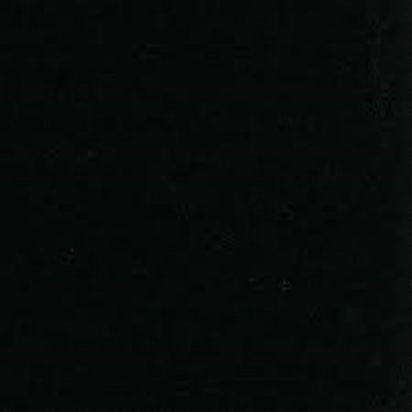 United Solutions Rough & Rugged 32 gal Black Plastic Garbage Can Lid Included