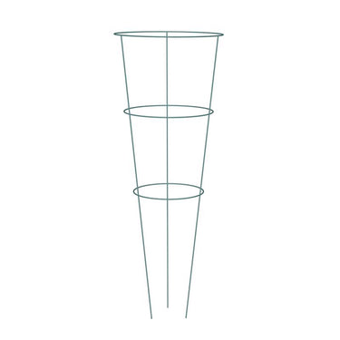 Panacea Vivid 42 in. H X 16 in. W Assorted Steel Tomato Cage 1 cage per purchase