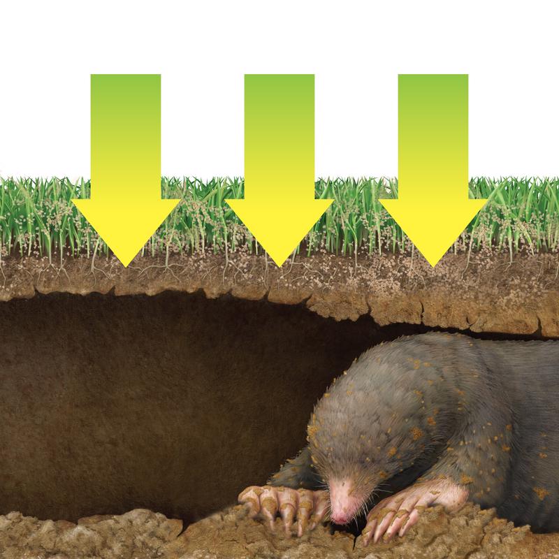 Load image into Gallery viewer, Victor Dual Action Animal Repellent Granules For Gophers and Moles 10 lb
