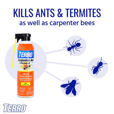 TERRO Carpenter Ant/Termite Killer Aerosol 16 oz