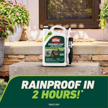 Ortho GroundClear Weed and Grass Killer RTU Liquid 1 gal