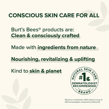 Burt's Bees Hydrating Watermelon Sheet Mask