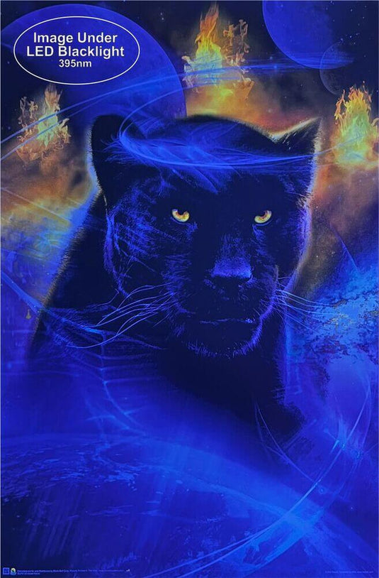 Great Feline by Phil Straub