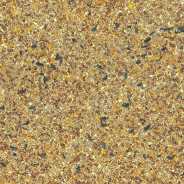 Kaytee Basic Blend Wild Bird Food 5 lb