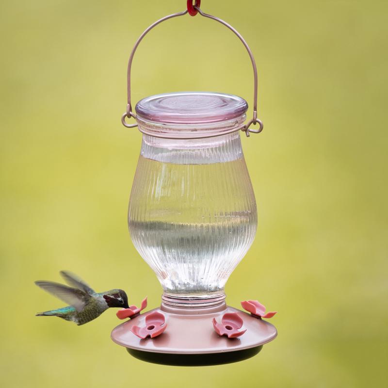 Load image into Gallery viewer, Perky-Pet Hummingbird 24 oz Glass/Plastic Nectar Feeder 5 ports
