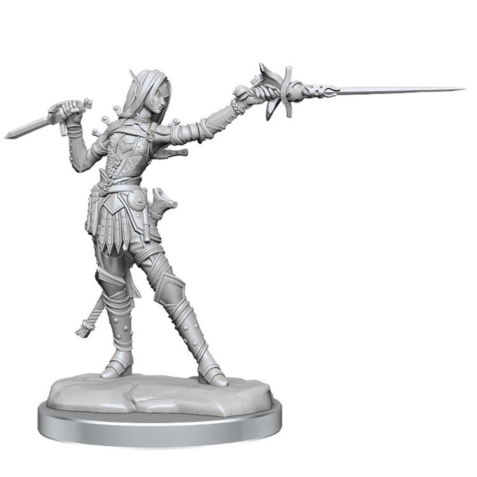 Pathfinder Legendary Cuts Female Elf Rogue W2A Miniatures