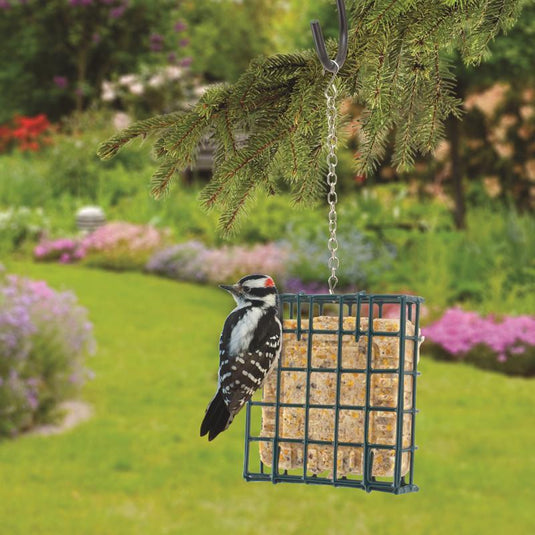 Woodlink Wild Bird Metal Small Suet Cage