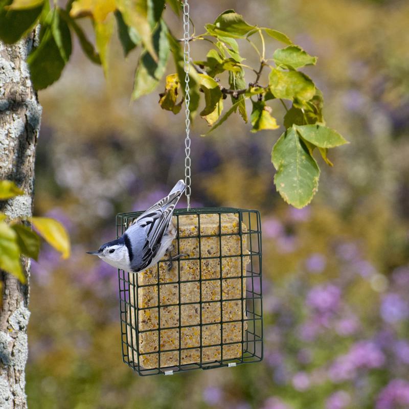 Load image into Gallery viewer, Woodlink Wild Bird Metal Suet Cage Suet Cage
