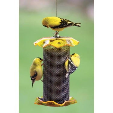 Birds Choice Forever Finch 1 qt Plastic Magnet Mesh Tube Bird Feeder