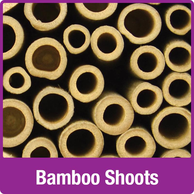 Load image into Gallery viewer, Nature&#39;s Way Better Gardens Bee House

