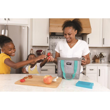 Igloo Freezer Block Blue 2 pk