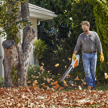 STIHL BGA 57 123 mph 365 CFM 36 V Battery Handheld Leaf Blower Kit (Battery & Charger)