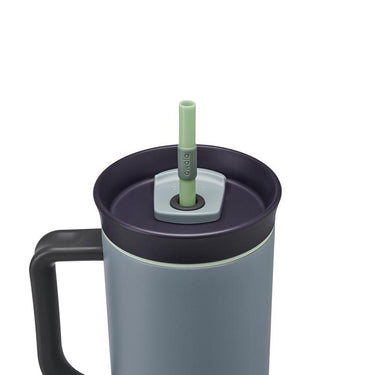 Owala 40 oz Lost Valley BPA Free Insulated Straw Tumbler