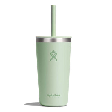 Hydroflask All Around 20 fl. oz. Aloe BPA Free Tumbler with Straw Lid