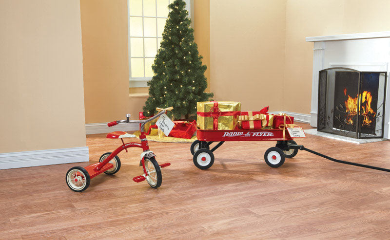 Load image into Gallery viewer, Radio Flyer Unisex 12 in. D Tricycle Red
