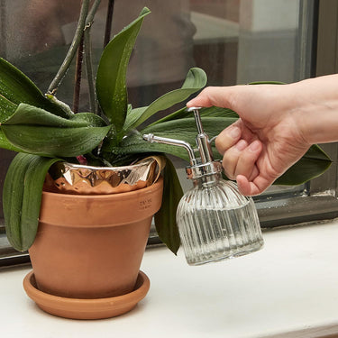 Kikkerland Handheld Glass Mister Mist Spray Bottle
