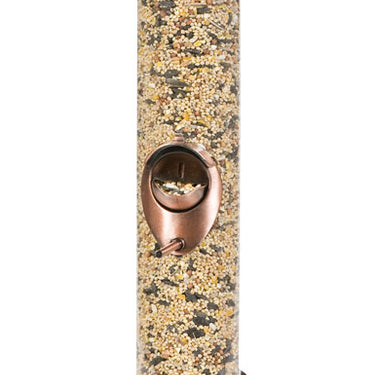 Perky-Pet Wild Bird and Finch 1.8 lb Copper Bird Feeder 4 ports
