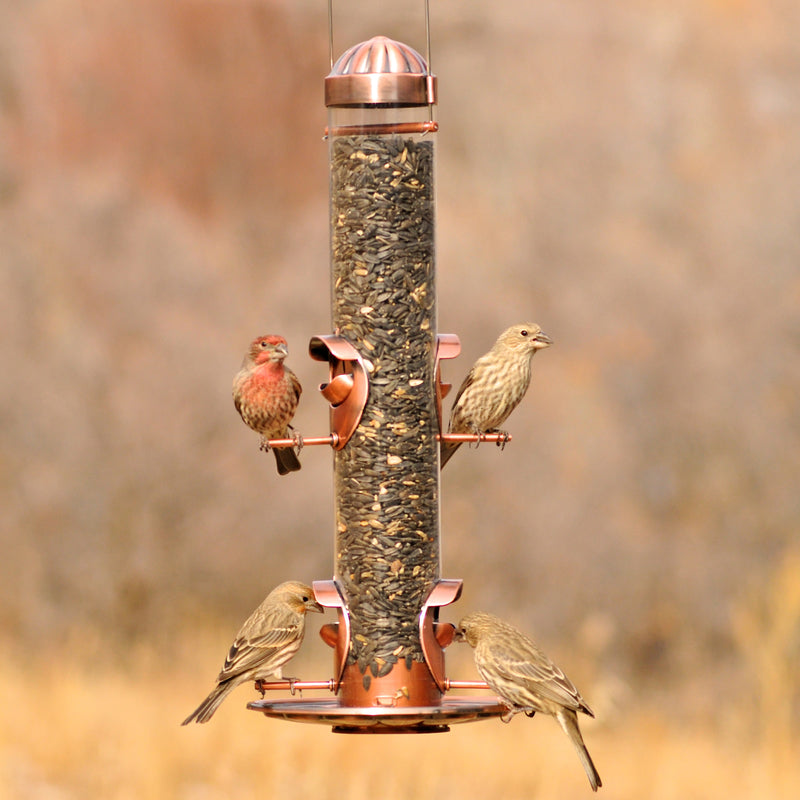 Load image into Gallery viewer, Perky-Pet Wild Bird and Finch 1.8 lb Copper Bird Feeder 4 ports
