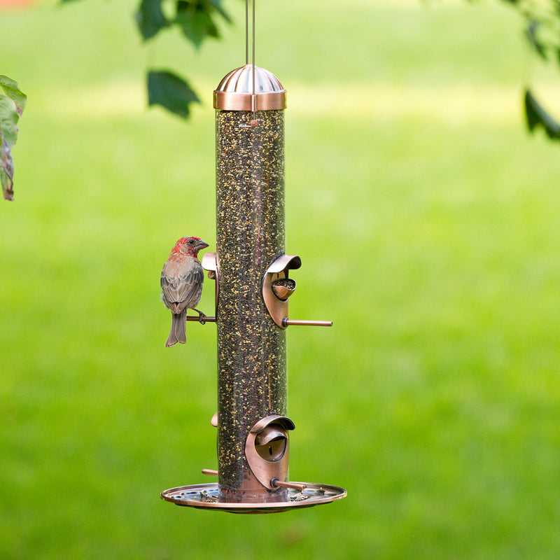 Load image into Gallery viewer, Perky-Pet Wild Bird and Finch 1.8 lb Copper Bird Feeder 4 ports
