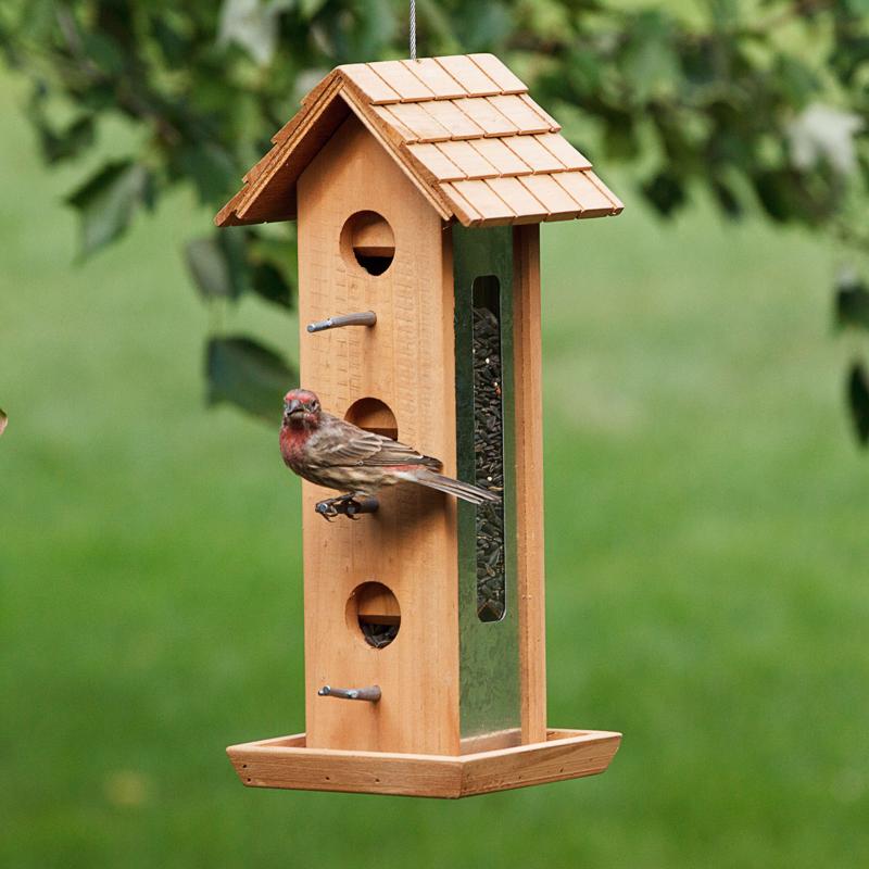 Load image into Gallery viewer, Birdscapes Bird Feeder Tin Jay Aluminum 2 lbs.
