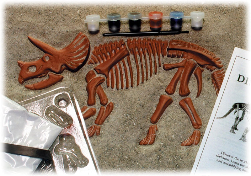 Load image into Gallery viewer, Eyewitness Kits Dinoworks Triceratops Skeleton Casting Kit
