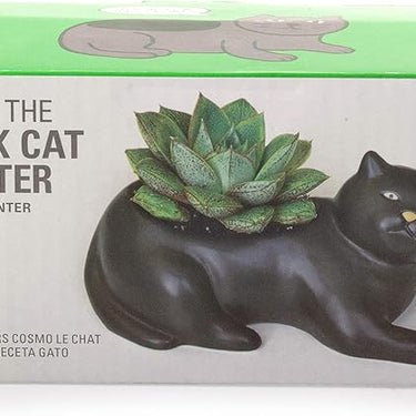 Kikkerland Cosmo The Black Cat Porcelain Planter