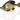 Savage Gear Pulse Tail Bluegilll 4" (Bream)