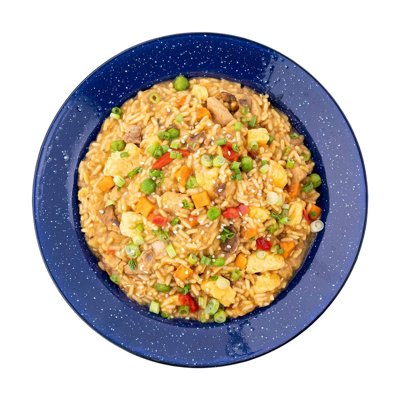 Load image into Gallery viewer, Mountain House Chicken Fried Rice
