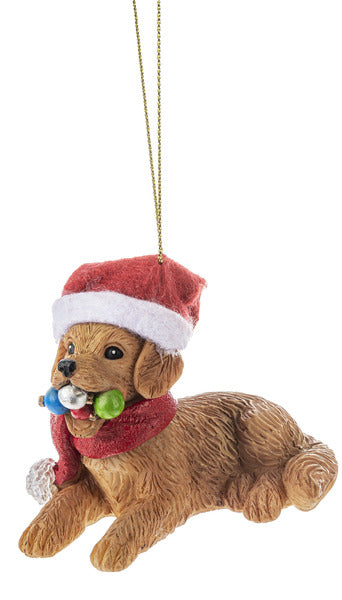 FELIZ NAUGHTY PET ORNAMENT