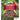 Kaytee Songbird Sunflower Seeds Seed Bell 13 oz