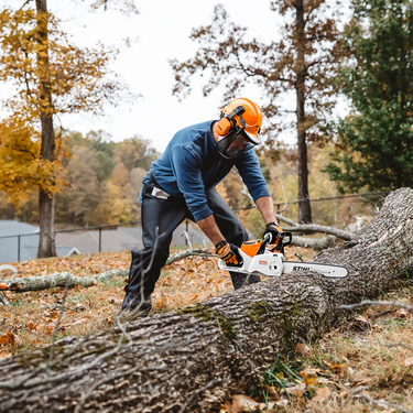 STIHL MSA 220 C-B 16 in. 36 V Battery Chainsaw (Tool Only)