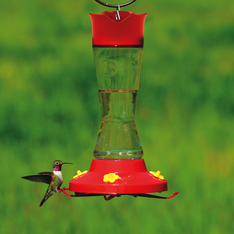 Load image into Gallery viewer, Perky-Pet Hummingbird 16 oz Glass/Plastic Pinch Waist Nectar Feeder 4 ports

