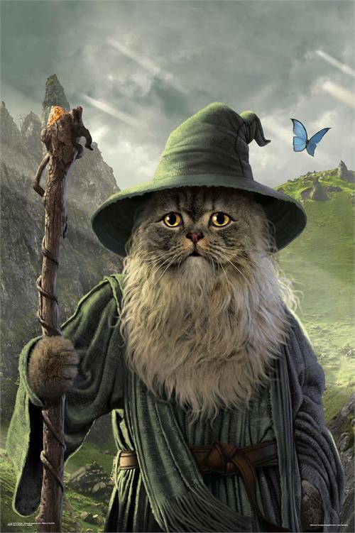 Catdalf Poster
