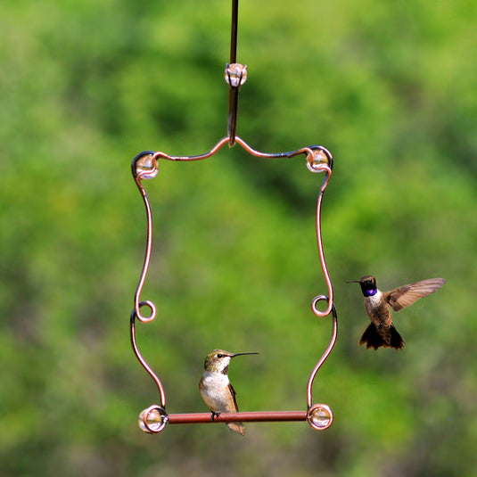 Perky-Pet 7.25 in. H X 5 in. W Hummingbird Swing (1 Swing per purchase)