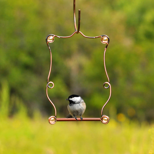 Perky-Pet 7.25 in. H X 5 in. W Hummingbird Swing (1 Swing per purchase)
