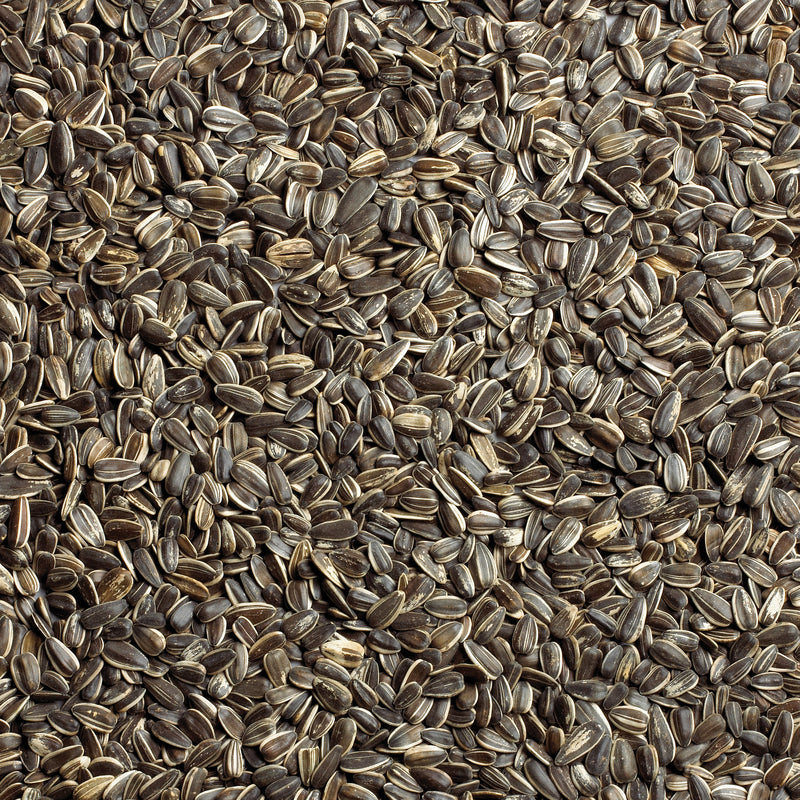 Load image into Gallery viewer, Ace Songbird Striped Sunflower Seed Wild Bird Food 5 lb
