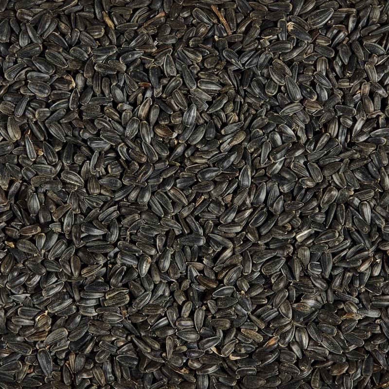 Load image into Gallery viewer, Ace Songbird Black Oil Sunflower Seed Wild Bird Food 5 lb
