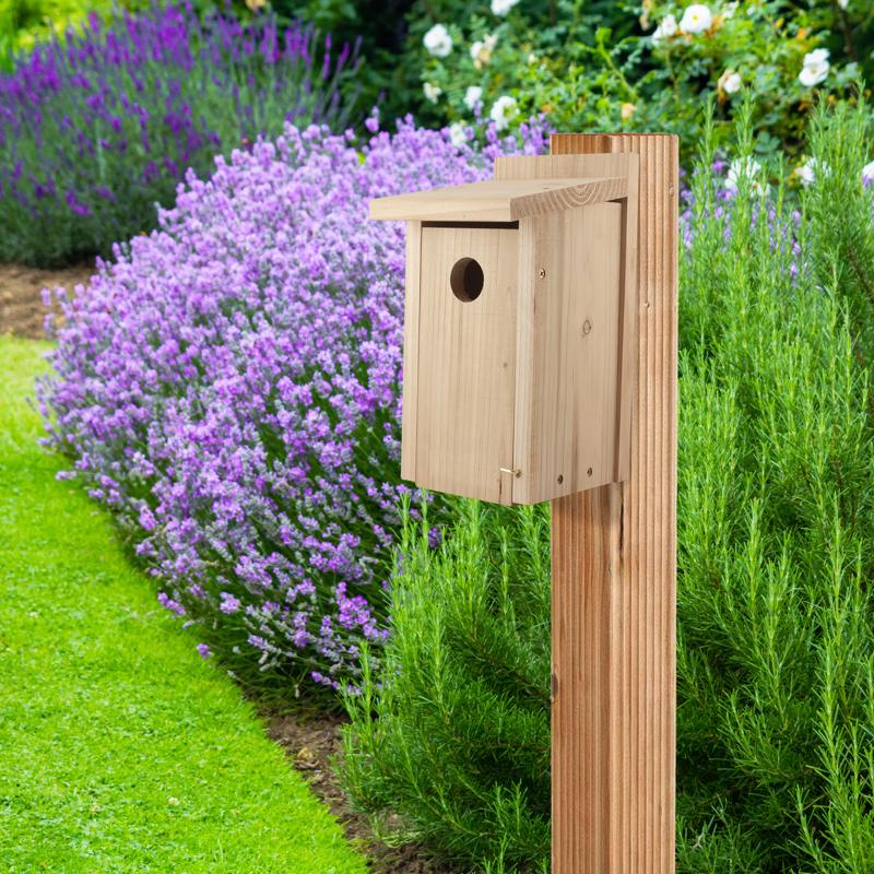 Load image into Gallery viewer, Audubon 12 in. H X 6.4 in. W X 6.4 in. L Red Cedar Bird House
