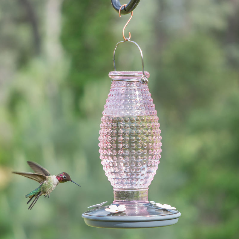 Load image into Gallery viewer, Perky-Pet Hummingbird 16 oz Glass/Metal Nectar Feeder 4 ports
